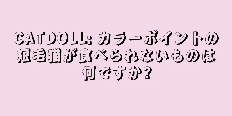 CATDOLL: カラーポイントの短毛猫が食べられないものは何ですか?