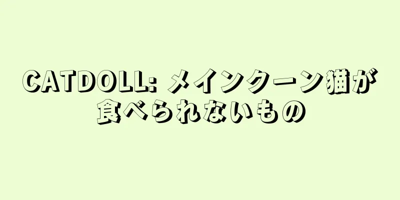 CATDOLL: メインクーン猫が食べられないもの