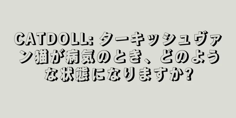 CATDOLL: ターキッシュヴァン猫が病気のとき、どのような状態になりますか?