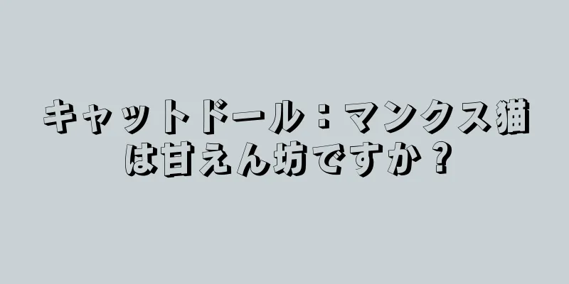 キャットドール：マンクス猫は甘えん坊ですか？