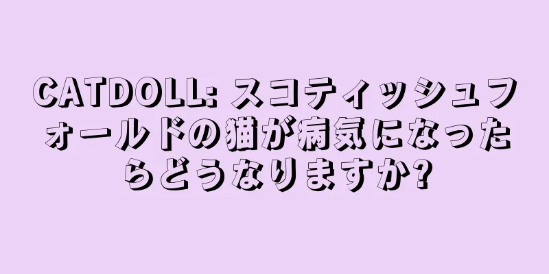 CATDOLL: スコティッシュフォールドの猫が病気になったらどうなりますか?