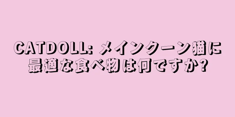 CATDOLL: メインクーン猫に最適な食べ物は何ですか?
