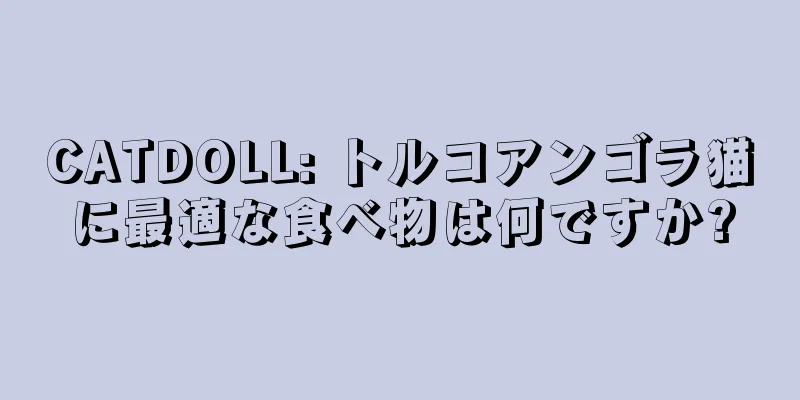 CATDOLL: トルコアンゴラ猫に最適な食べ物は何ですか?