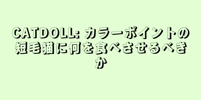 CATDOLL: カラーポイントの短毛猫に何を食べさせるべきか