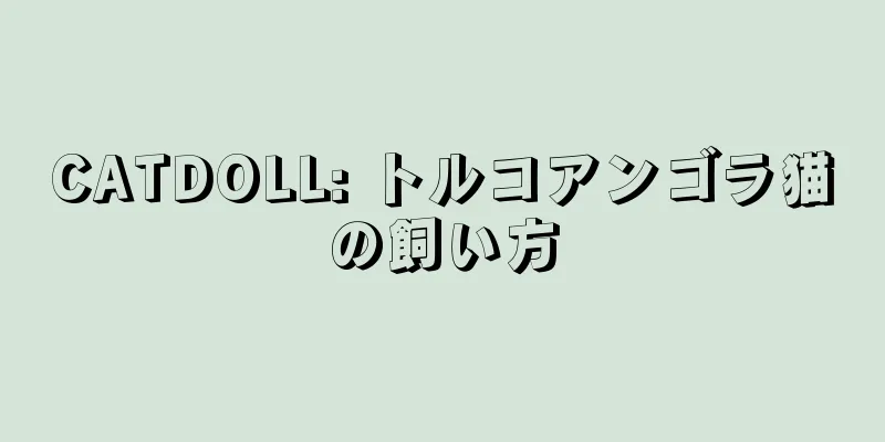 CATDOLL: トルコアンゴラ猫の飼い方