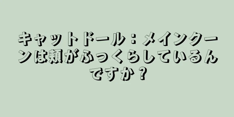 キャットドール：メインクーンは頬がふっくらしているんですか？