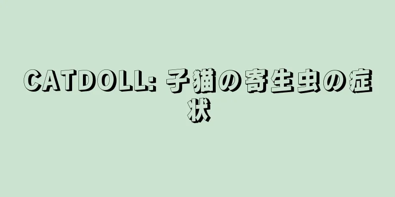 CATDOLL: 子猫の寄生虫の症状