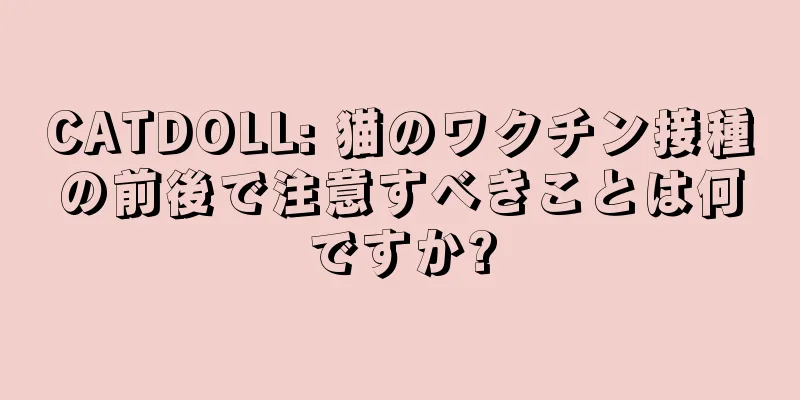 CATDOLL: 猫のワクチン接種の前後で注意すべきことは何ですか?
