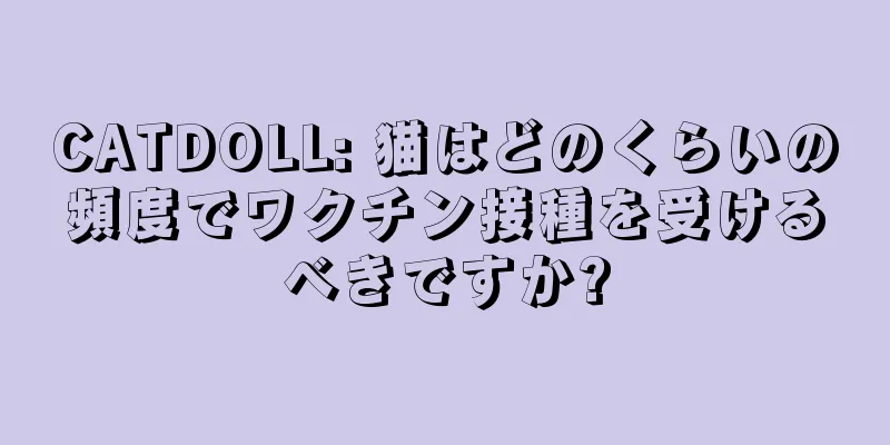 CATDOLL: 猫はどのくらいの頻度でワクチン接種を受けるべきですか?