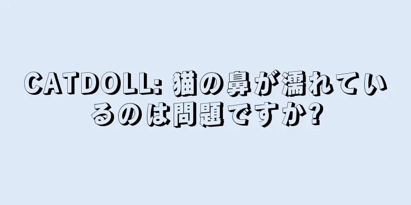CATDOLL: 猫の鼻が濡れているのは問題ですか?