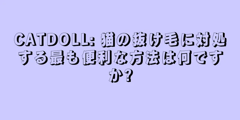 CATDOLL: 猫の抜け毛に対処する最も便利な方法は何ですか?