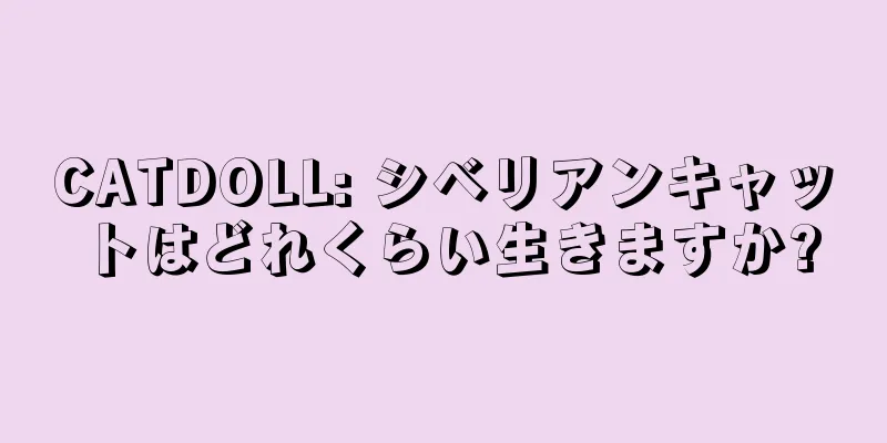CATDOLL: シベリアンキャットはどれくらい生きますか?