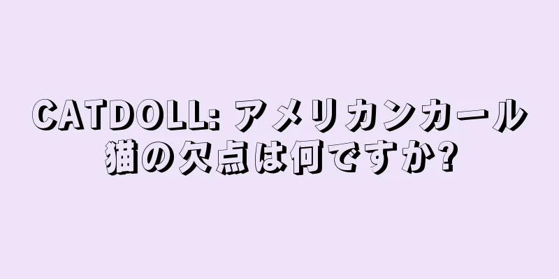 CATDOLL: アメリカンカール猫の欠点は何ですか?