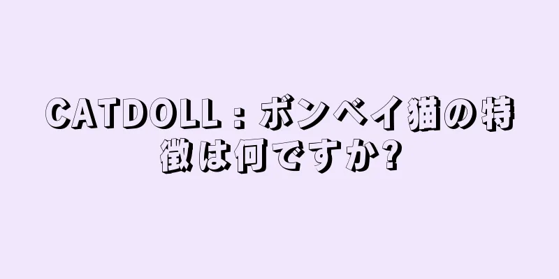 CATDOLL : ボンベイ猫の特徴は何ですか?