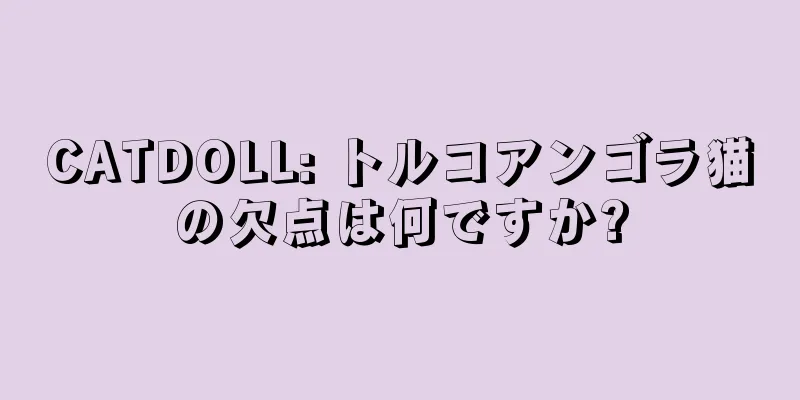 CATDOLL: トルコアンゴラ猫の欠点は何ですか?