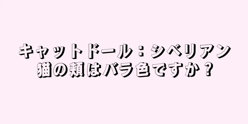 キャットドール：シベリアン猫の頬はバラ色ですか？