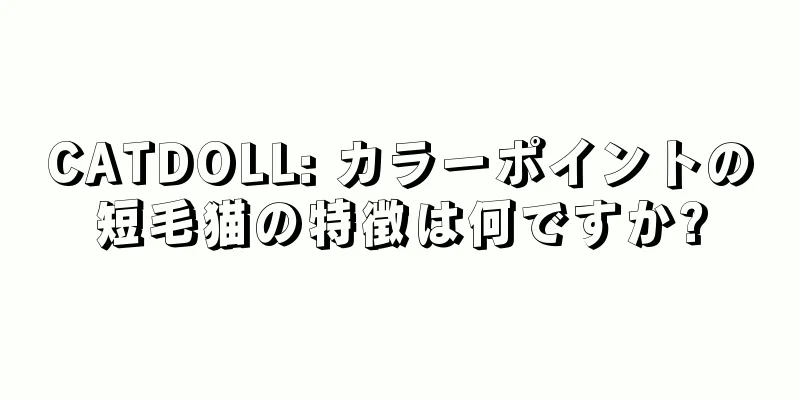 CATDOLL: カラーポイントの短毛猫の特徴は何ですか?