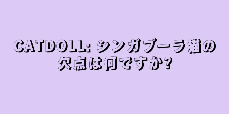 CATDOLL: シンガプーラ猫の欠点は何ですか?