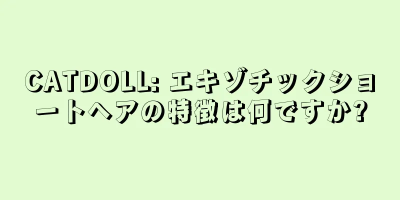CATDOLL: エキゾチックショートヘアの特徴は何ですか?