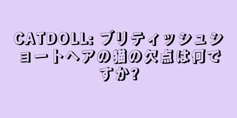 CATDOLL: ブリティッシュショートヘアの猫の欠点は何ですか?