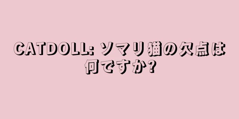 CATDOLL: ソマリ猫の欠点は何ですか?