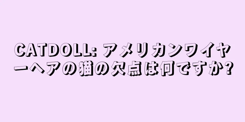CATDOLL: アメリカンワイヤーヘアの猫の欠点は何ですか?