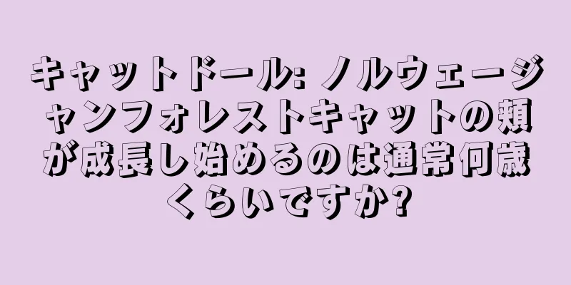キャットドール: ノルウェージャンフォレストキャットの頬が成長し始めるのは通常何歳くらいですか?