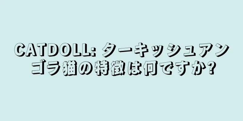 CATDOLL: ターキッシュアンゴラ猫の特徴は何ですか?