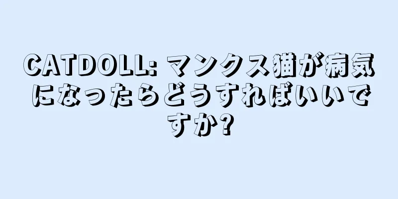 CATDOLL: マンクス猫が病気になったらどうすればいいですか?