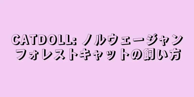 CATDOLL: ノルウェージャンフォレストキャットの飼い方