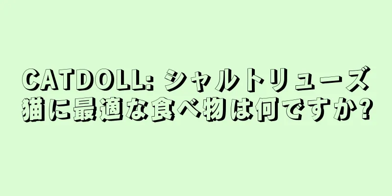 CATDOLL: シャルトリューズ猫に最適な食べ物は何ですか?