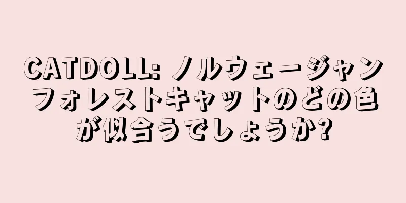 CATDOLL: ノルウェージャンフォレストキャットのどの色が似合うでしょうか?