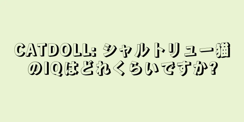 CATDOLL: シャルトリュー猫のIQはどれくらいですか?