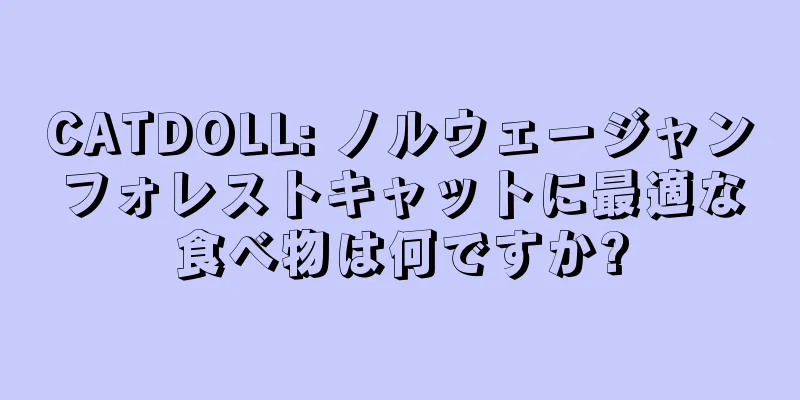CATDOLL: ノルウェージャンフォレストキャットに最適な食べ物は何ですか?