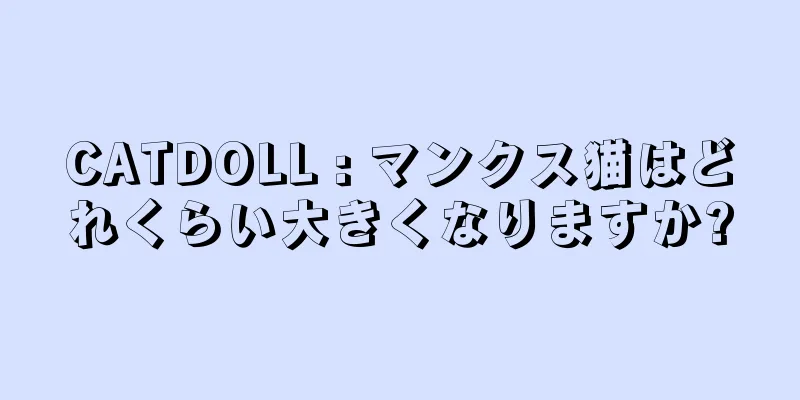 CATDOLL : マンクス猫はどれくらい大きくなりますか?