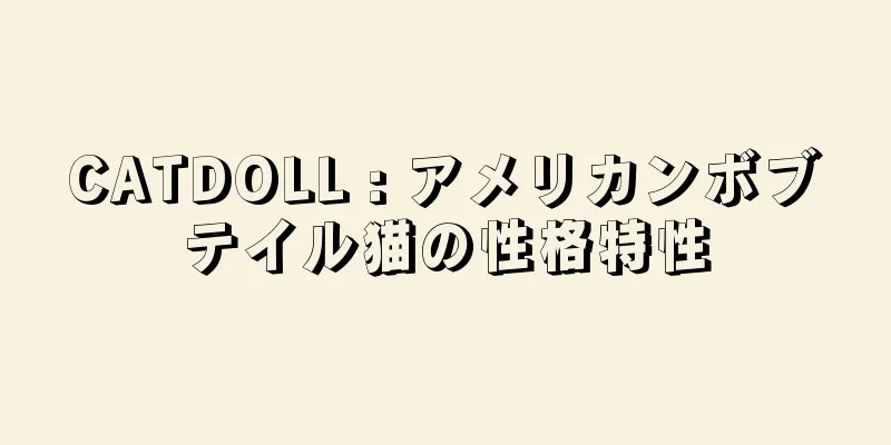 CATDOLL : アメリカンボブテイル猫の性格特性