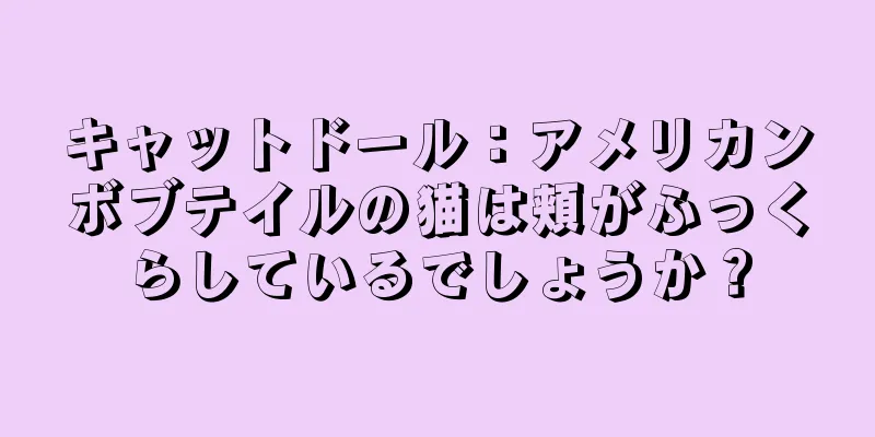 キャットドール：アメリカンボブテイルの猫は頬がふっくらしているでしょうか？