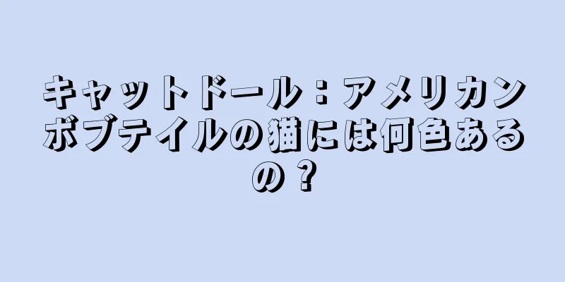 キャットドール：アメリカンボブテイルの猫には何色あるの？
