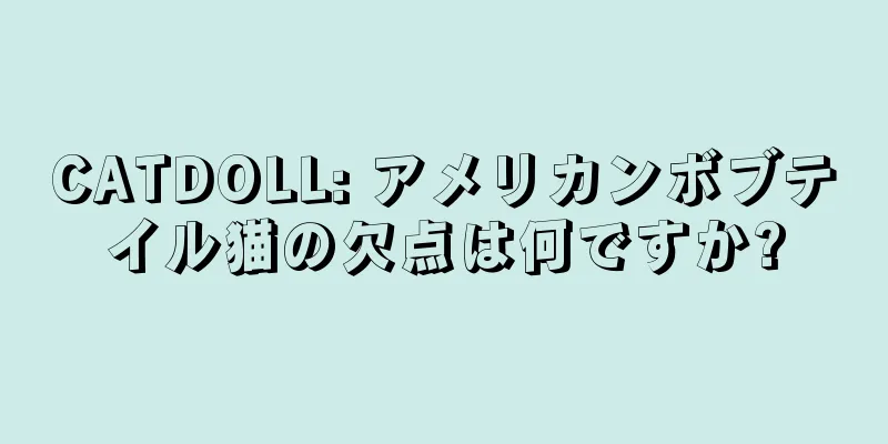 CATDOLL: アメリカンボブテイル猫の欠点は何ですか?