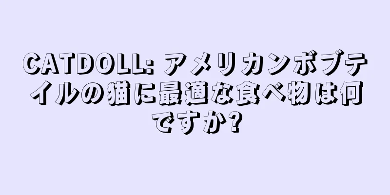 CATDOLL: アメリカンボブテイルの猫に最適な食べ物は何ですか?