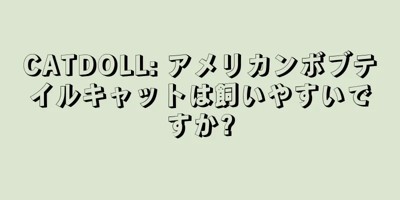 CATDOLL: アメリカンボブテイルキャットは飼いやすいですか?