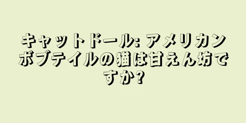 キャットドール: アメリカンボブテイルの猫は甘えん坊ですか?