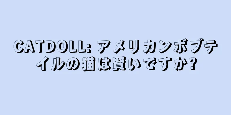 CATDOLL: アメリカンボブテイルの猫は賢いですか?