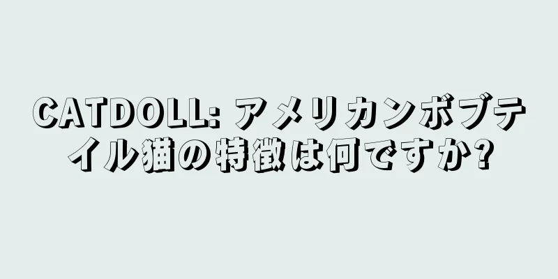CATDOLL: アメリカンボブテイル猫の特徴は何ですか?