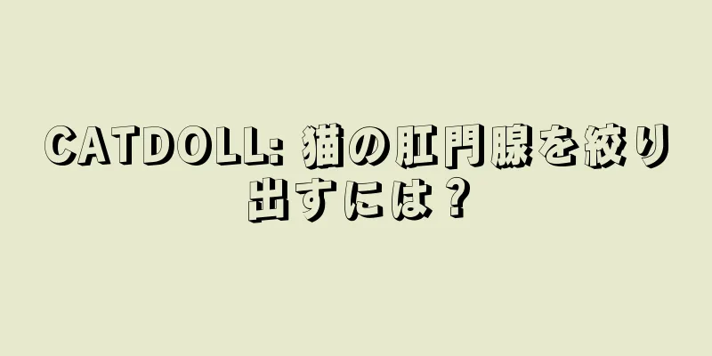 CATDOLL: 猫の肛門腺を絞り出すには？