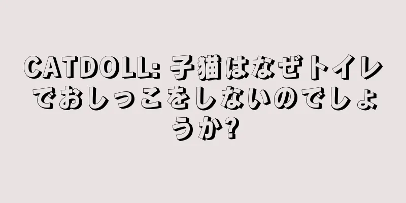 CATDOLL: 子猫はなぜトイレでおしっこをしないのでしょうか?