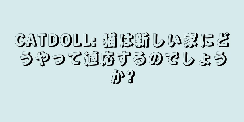 CATDOLL: 猫は新しい家にどうやって適応するのでしょうか?