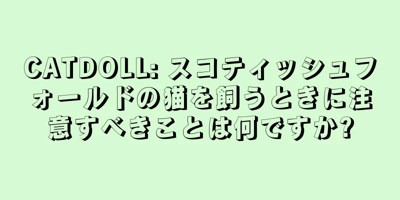 CATDOLL: スコティッシュフォールドの猫を飼うときに注意すべきことは何ですか?