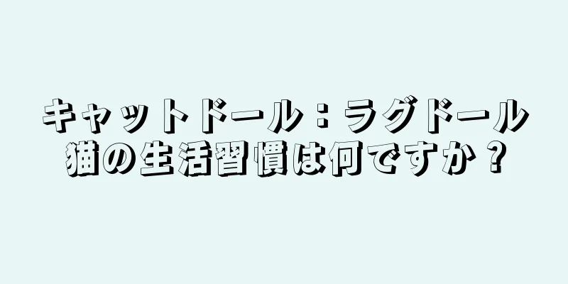 キャットドール：ラグドール猫の生活習慣は何ですか？