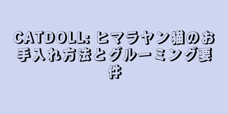 CATDOLL: ヒマラヤン猫のお手入れ方法とグルーミング要件